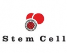 استم سل Stem Cell